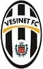 VesinetFC.png